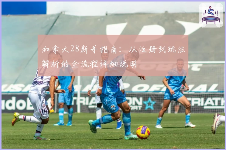 加拿大28新手指南：从注册到玩法解析的全流程详细说明