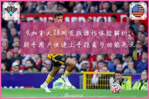 《加拿大28网页版操作体验解析：新手用户快速上手指南与功能亮点分析》