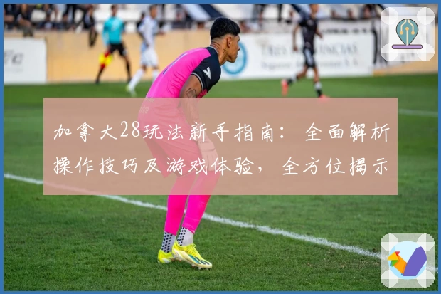 加拿大28玩法新手指南：全面解析操作技巧及游戏体验，全方位揭示核心功能亮点