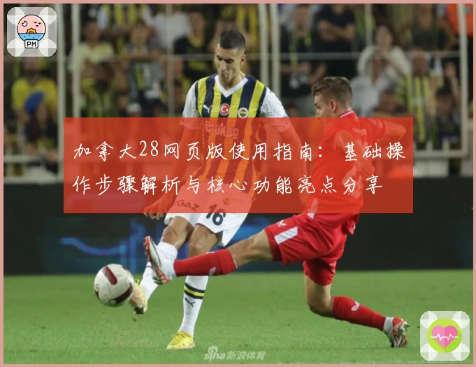 加拿大28网页版使用指南：基础操作步骤解析与核心功能亮点分享