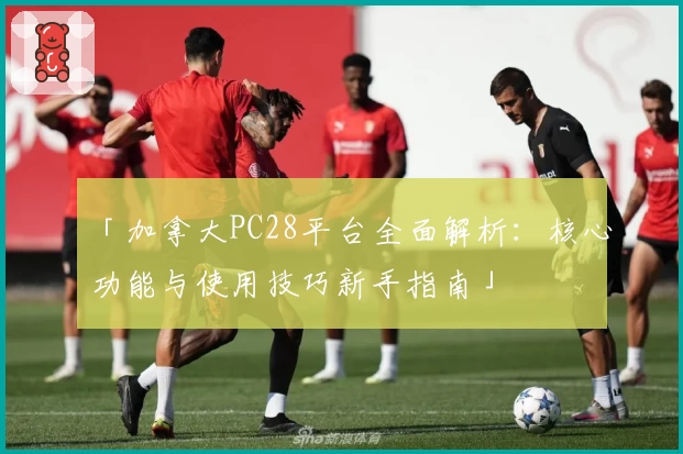 「加拿大PC28平台全面解析：核心功能与使用技巧新手指南」