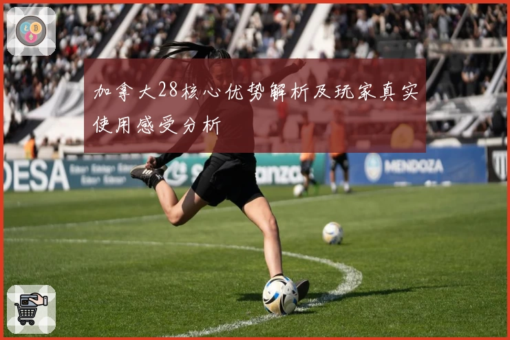 加拿大28核心优势解析及玩家真实使用感受分析
