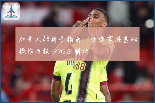 加拿大28新手指南：快速掌握基础操作与核心玩法解析