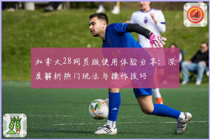 加拿大28网页版使用体验分享：深度解析热门玩法与操作技巧