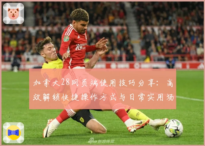加拿大28网页端使用技巧分享：高效解锁快捷操作方式与日常实用场景解析