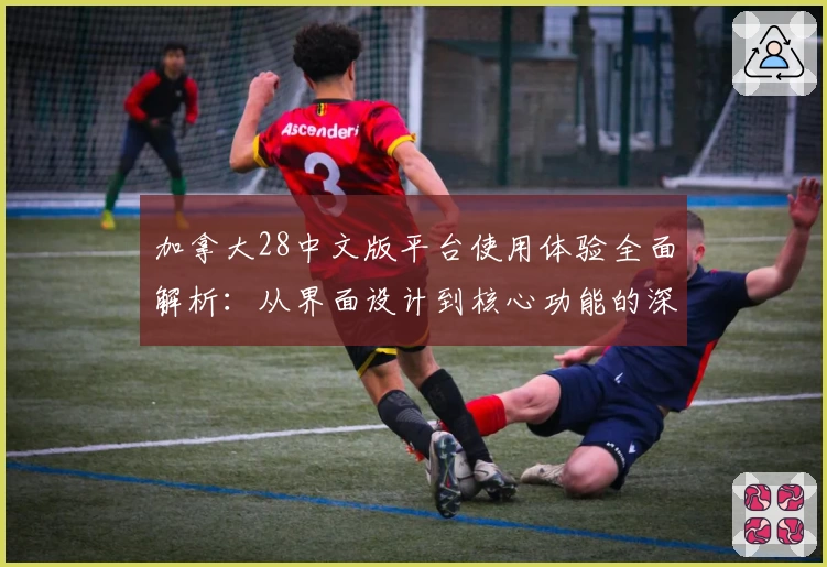 加拿大28中文版平台使用体验全面解析：从界面设计到核心功能的深度评测