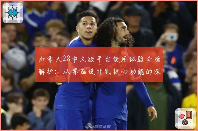 加拿大28中文版平台使用体验全面解析：从界面设计到核心功能的深度评测