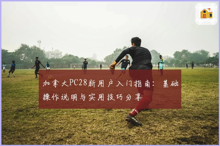 加拿大PC28新用户入门指南：基础操作说明与实用技巧分享