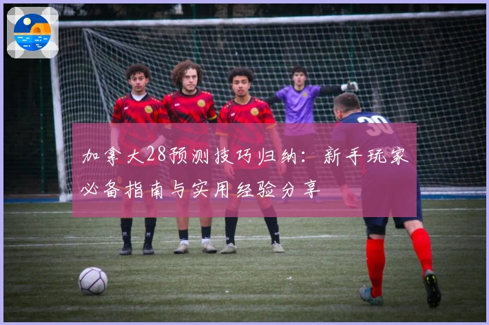 加拿大28预测技巧归纳：新手玩家必备指南与实用经验分享