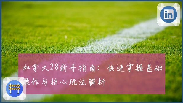 加拿大28新手指南：快速掌握基础操作与核心玩法解析