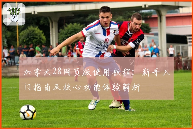 加拿大28网页版使用教程：新手入门指南及核心功能体验解析